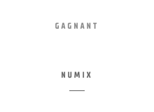 Gagnant – Most Promising Indie Games Startup – Numix